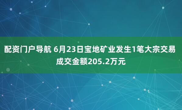 配资门户导航 6月23日宝地矿业发生1笔大宗交易 成交金额205.2万元