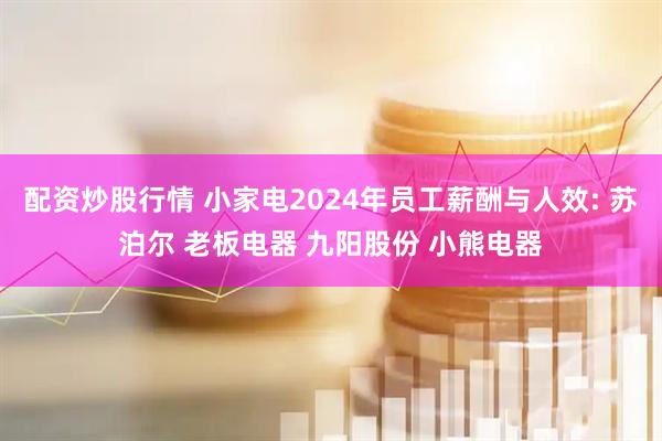 配资炒股行情 小家电2024年员工薪酬与人效: 苏泊尔 老板电器 九阳股份 小熊电器