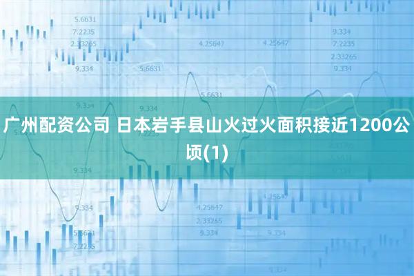 广州配资公司 日本岩手县山火过火面积接近1200公顷(1)